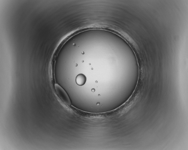 X0000116290838200912071209