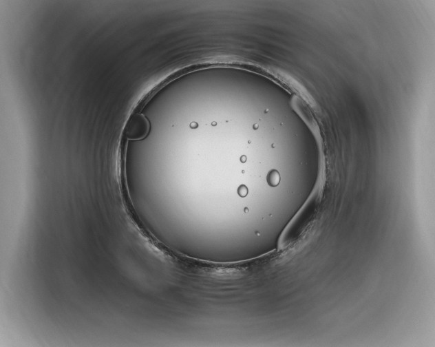 X0000116290839200912071209