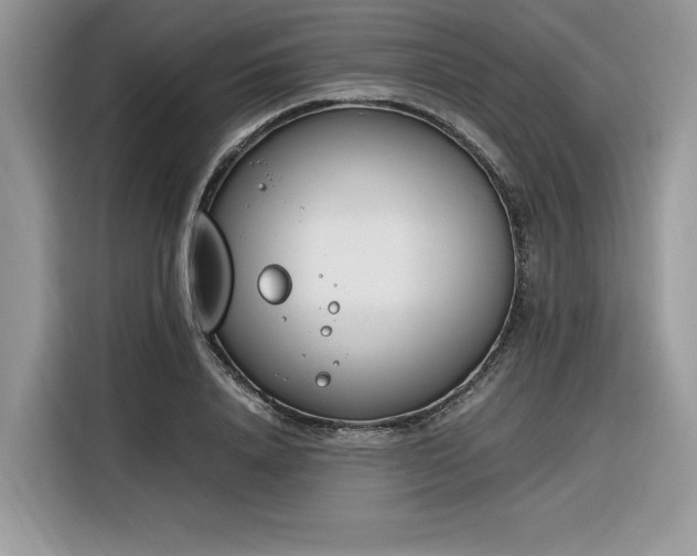 X0000116290840200912071209