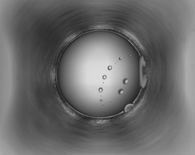 X0000116290841200912071209