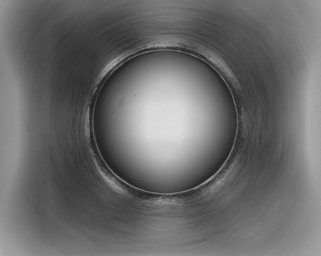 X0000116290842200912071209