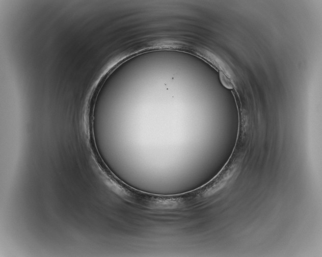 X0000116290843200912071209