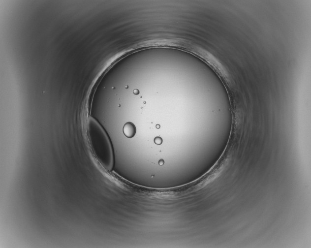 X0000116290844200912071209