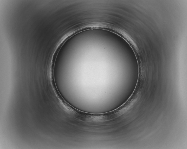 X0000116290845200912071209