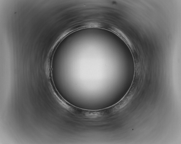 X0000116290851200912071209