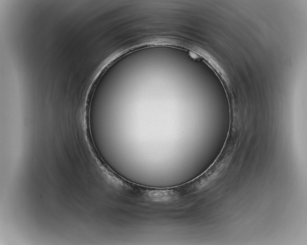 X0000116290853200912071209