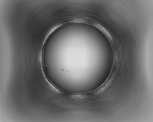 X0000116290855200912071209