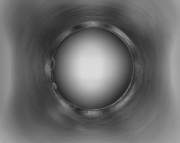 X0000116290857200912071209