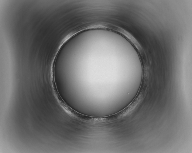 X0000116290858200912071209