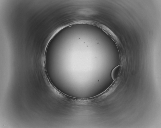 X0000116290860200912071209