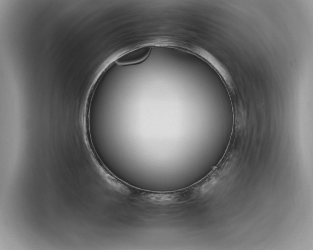 X0000116290861200912071209