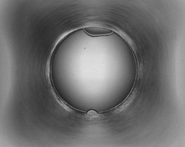 X0000116290862200912071209