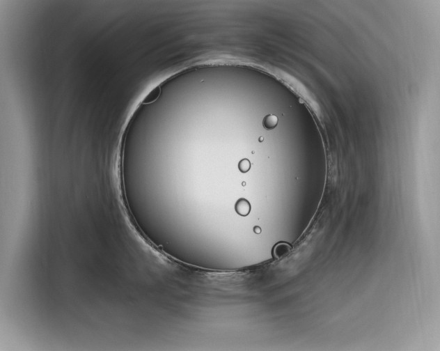 X0000116290863200912071209