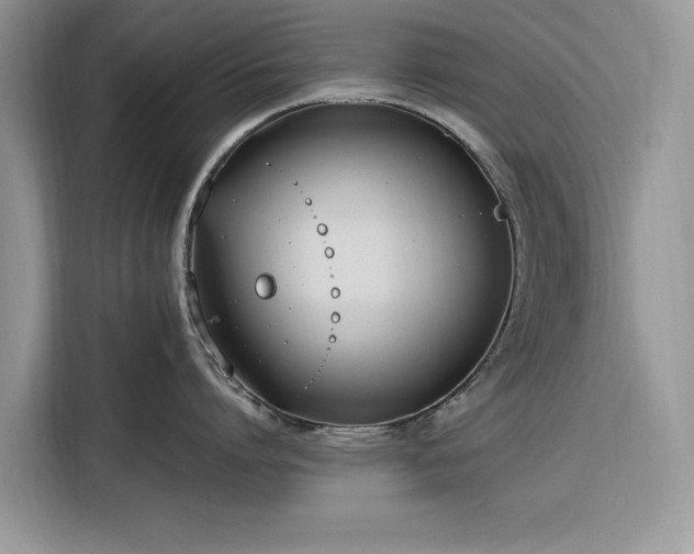 X0000116290864200912071209