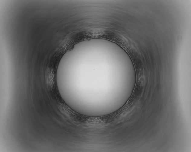 X0000116290866200912071209