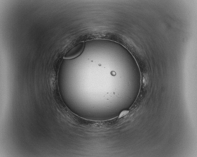 X0000116290867200912071209