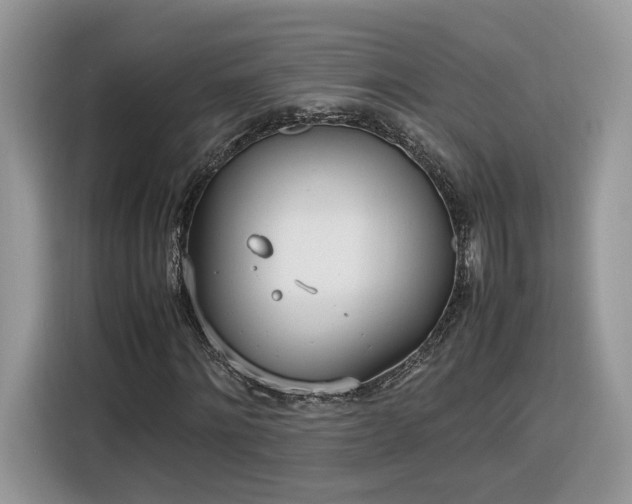 X0000116290868200912071209