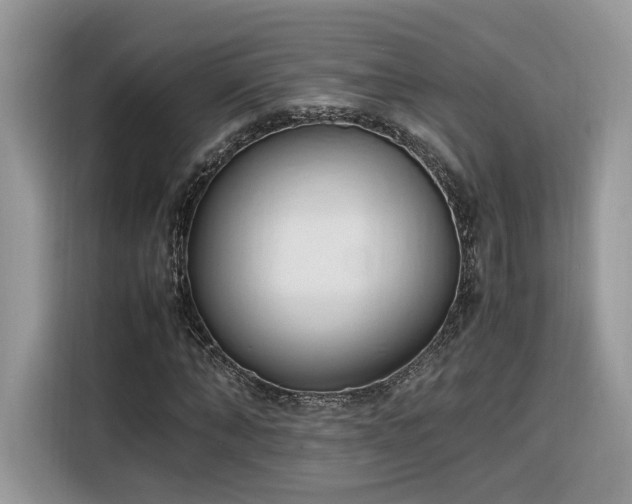 X0000116290870200912071209