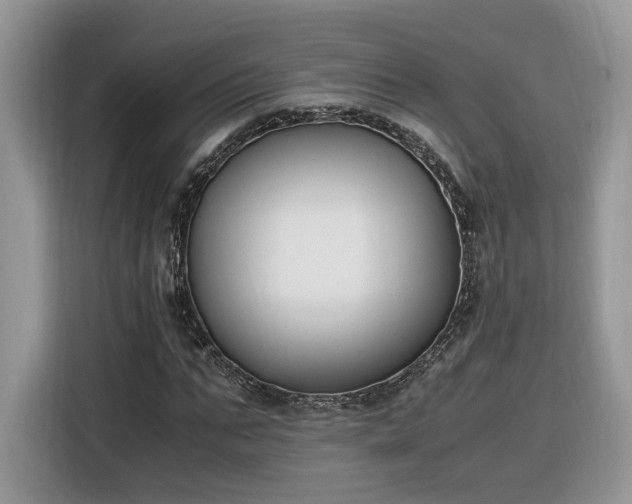 X0000116290871200912071209