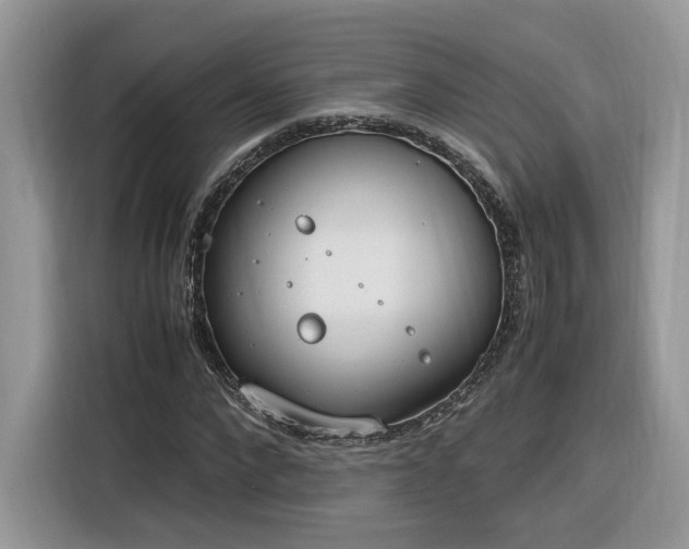 X0000116290872200912071209