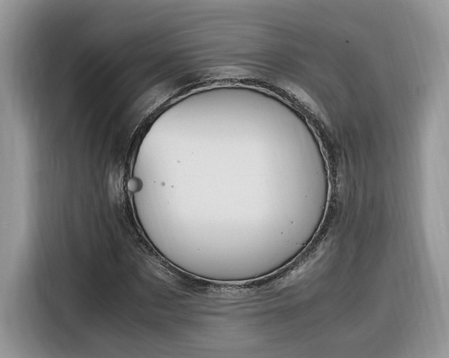 X0000116290873200912071209