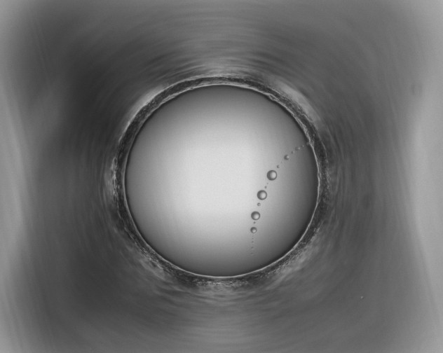 X0000116290875200912071209