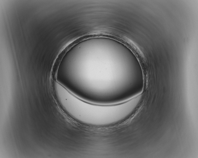 X0000116290876200912071209