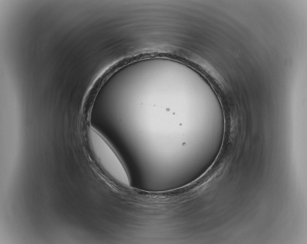 X0000116290878200912071209