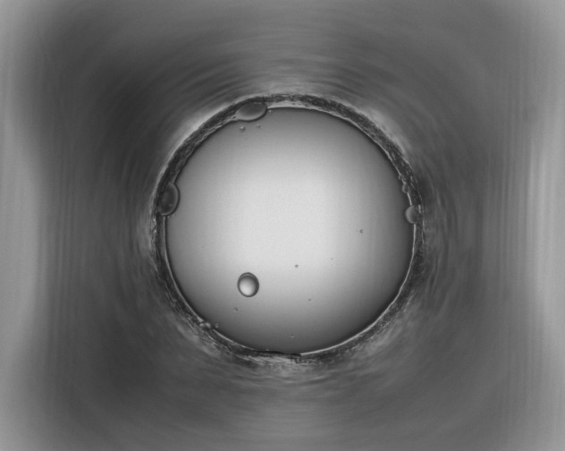 X0000116290879200912071209