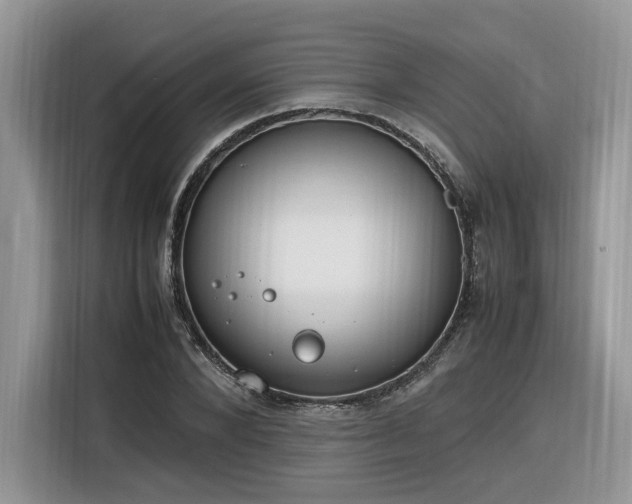 X0000116290880200912071209