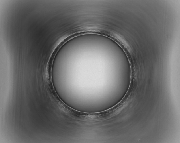 X0000116290883200912071209