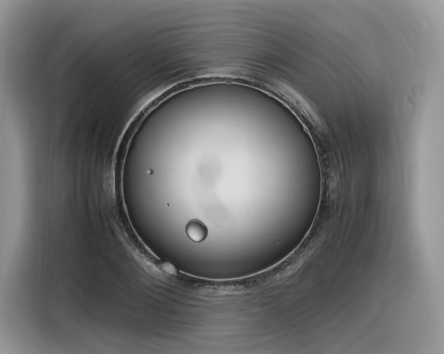 X0000116290884200912071209