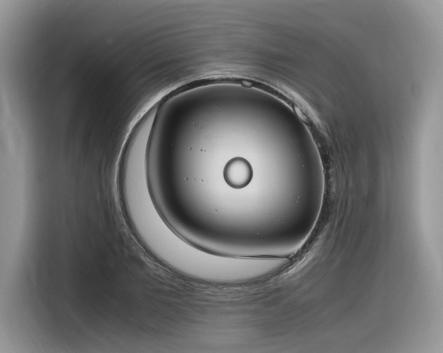 X0000116290885200912071209