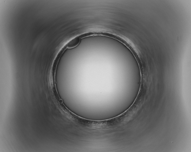 X0000116290887200912071208