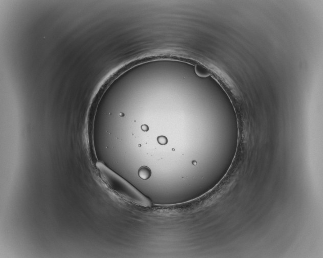 X0000116290888200912071208