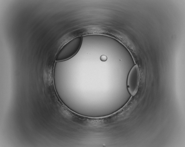 X0000116290889200912071208