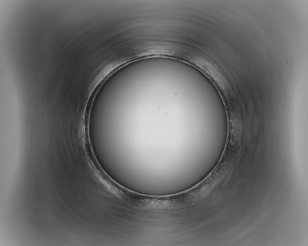 X0000116290890200912071208