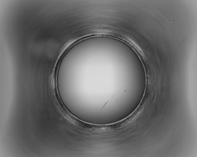 X0000116290891200912071208