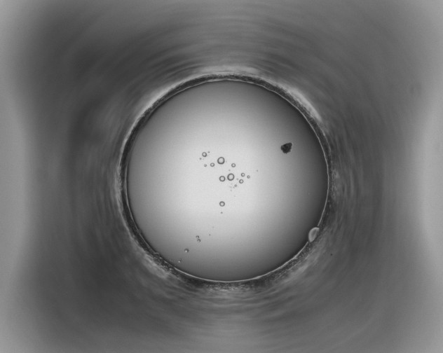 X0000116290895200912071208