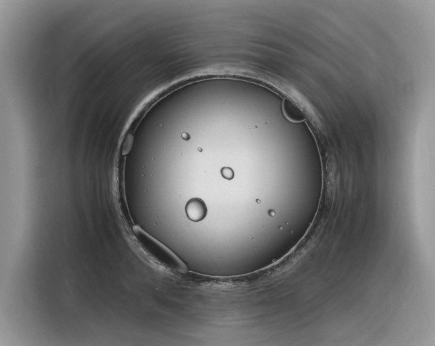 X0000116290896200912071208