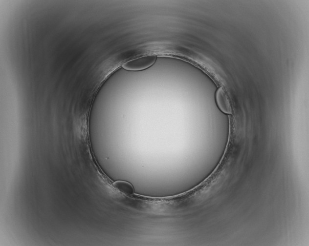 X0000116290897200912071208