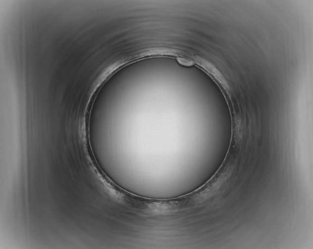 X0000116290898200912071208