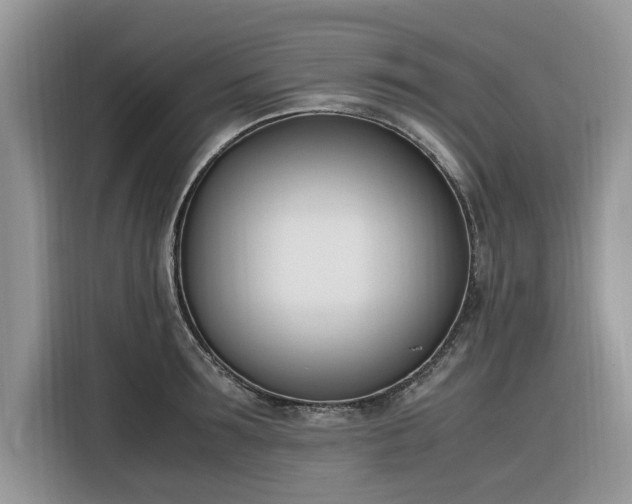 X0000116290899200912071208