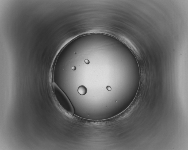 X0000116290900200912071208