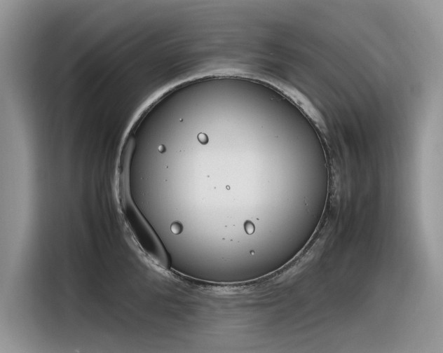 X0000116290904200912071208