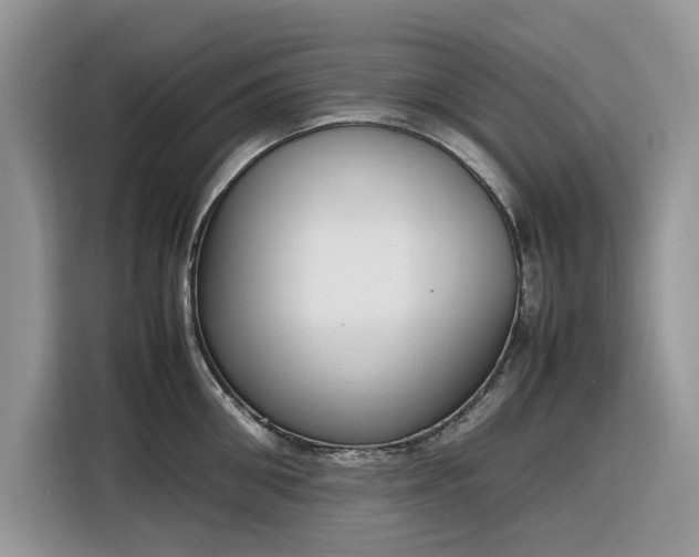 X0000116290906200912071208