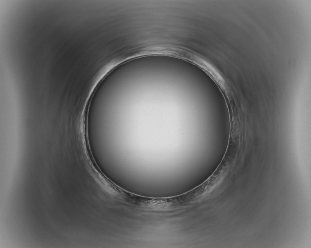 X0000116290907200912071208