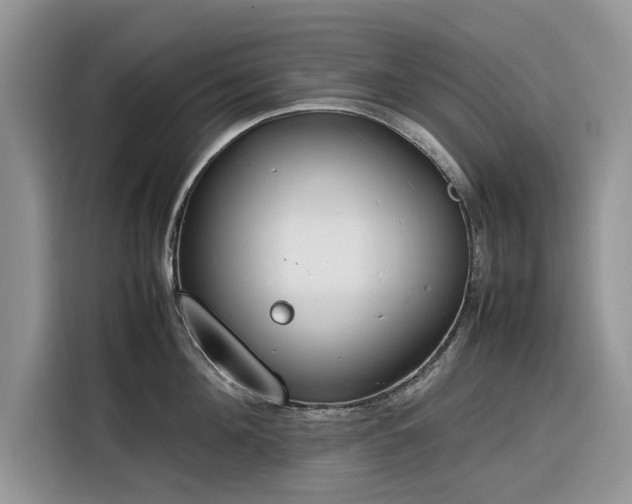 X0000116290908200912071208