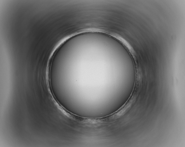 X0000116290910200912071208