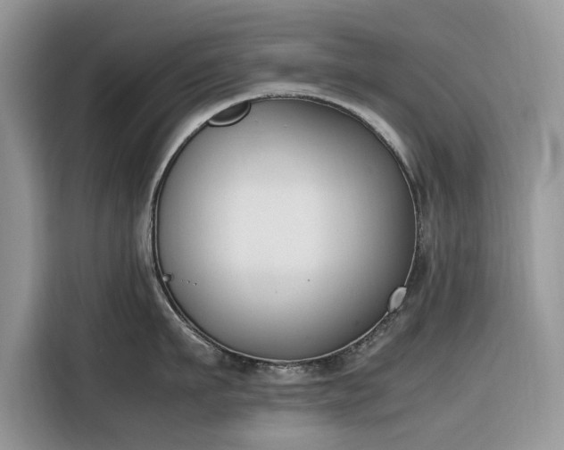 X0000116290911200912071208